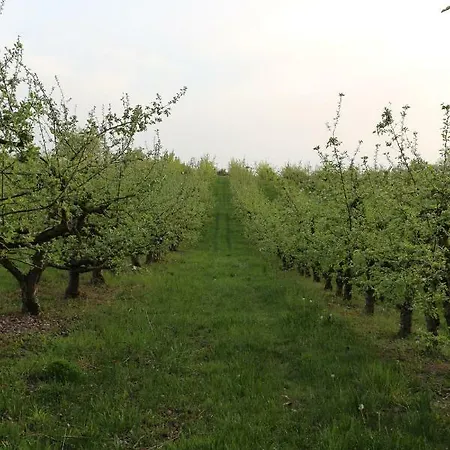 Ferienwohnung Holiday Mit Netflix