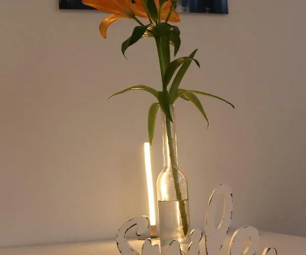 Ferienwohnung Holiday Mit Netflix Daire *