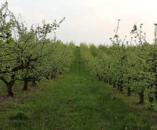 Ferienwohnung Holiday Mit Netflix
