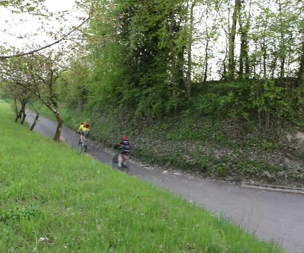 Daire Ferienwohnung Holiday Mit Netflix Herbolzheim