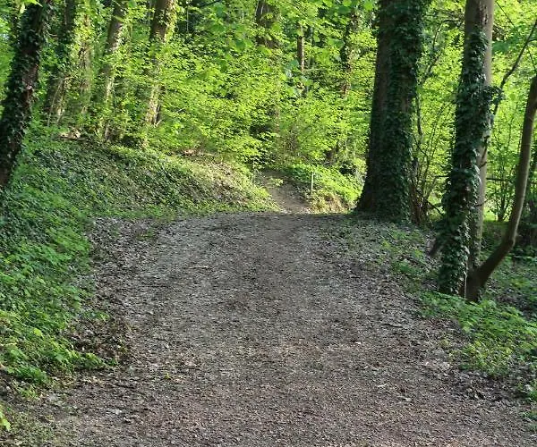 Daire Ferienwohnung Holiday Mit Netflix *