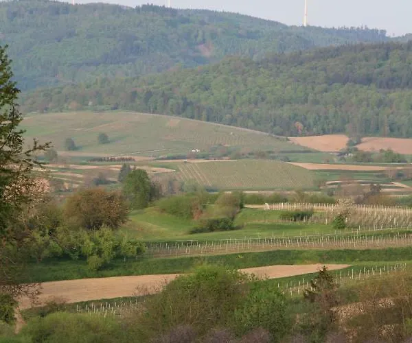 Daire Ferienwohnung Holiday Mit Netflix *